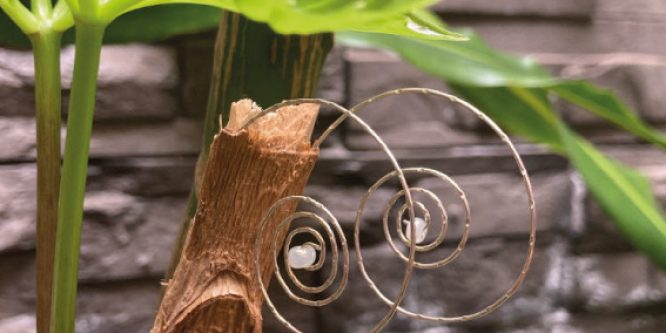 Caracol